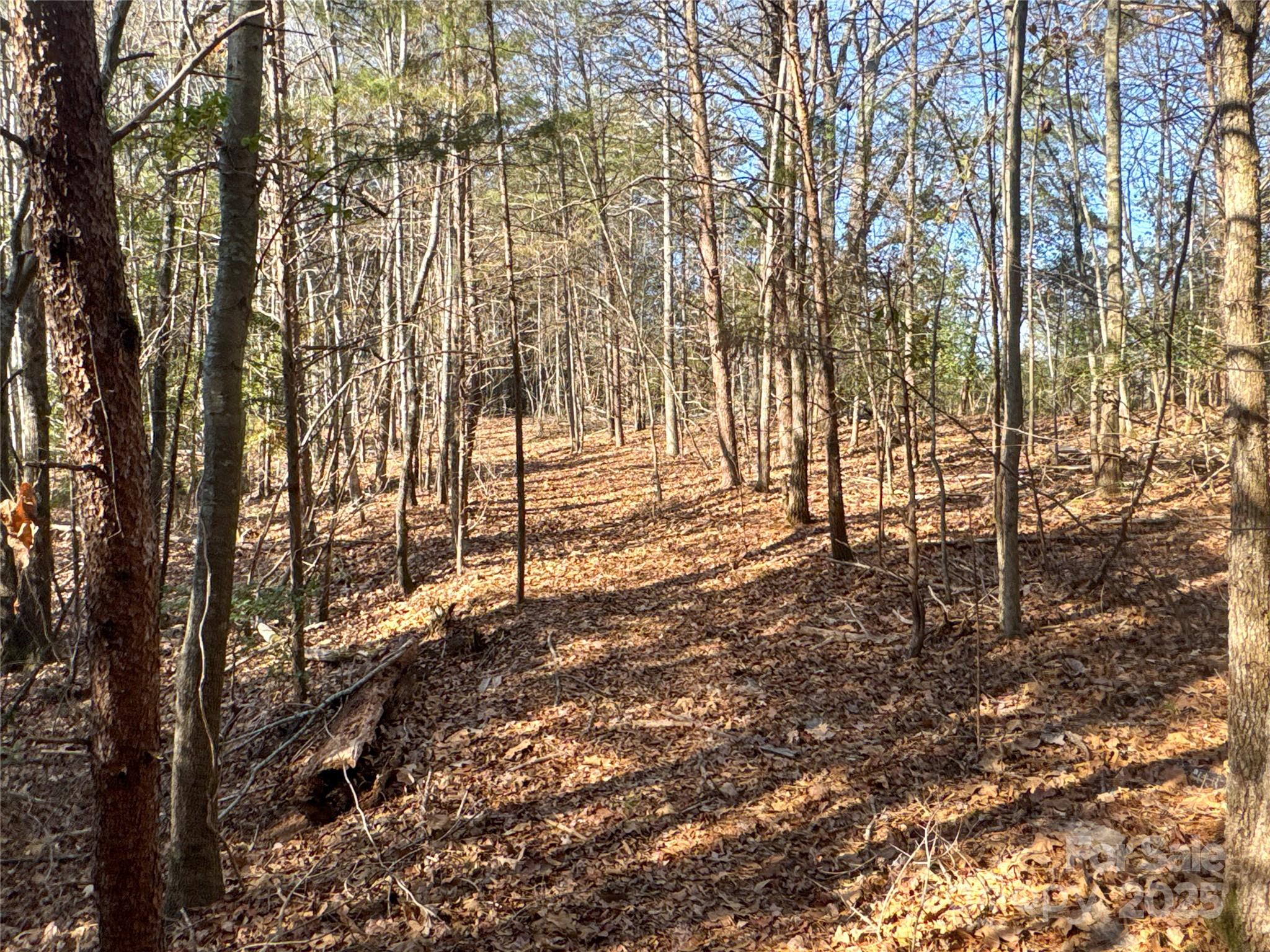 00 Ellis Ferry Road Property Photo 18