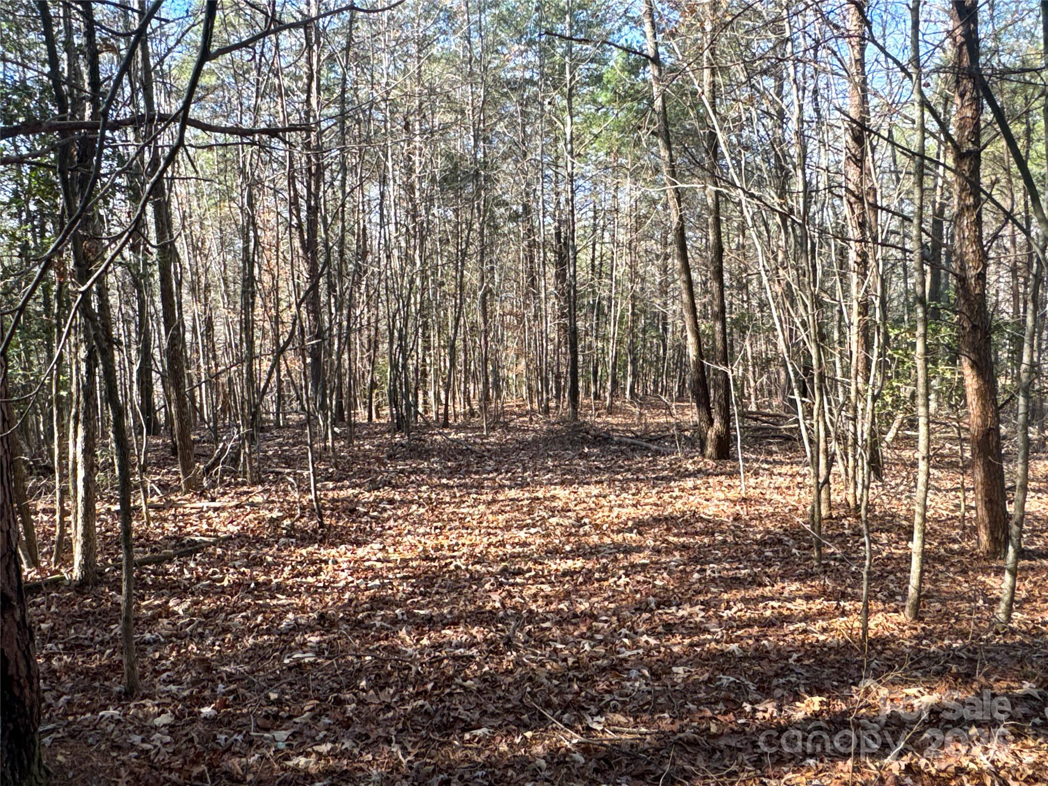 00 Ellis Ferry Road Property Photo 21