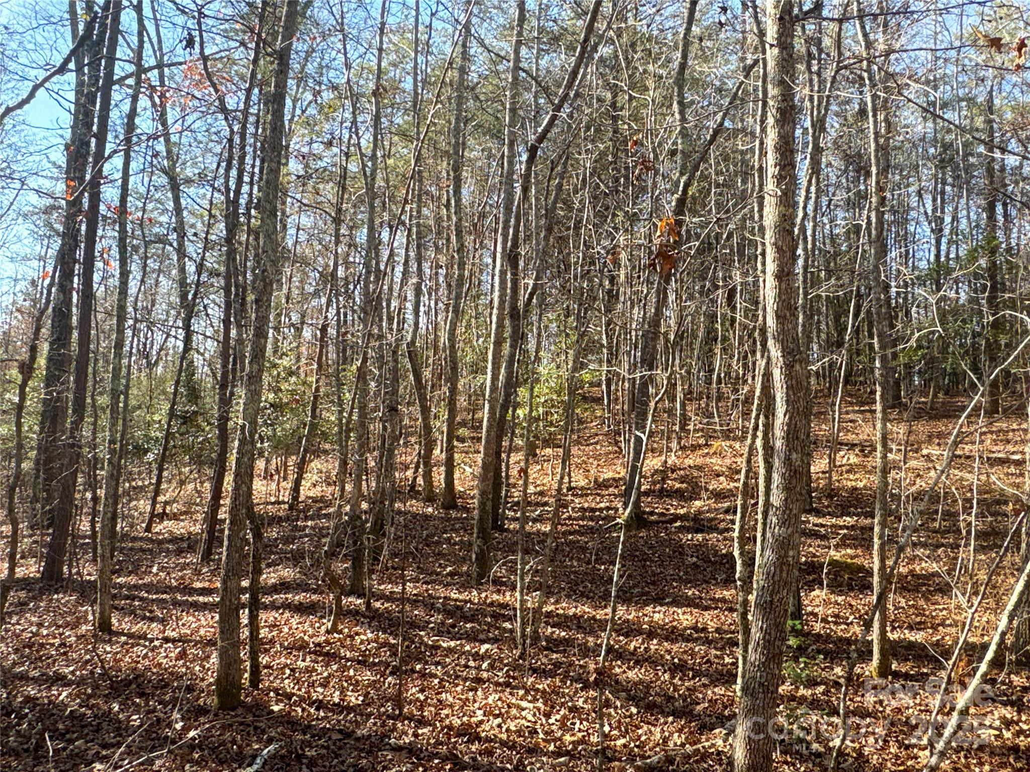 00 Ellis Ferry Road Property Photo 24