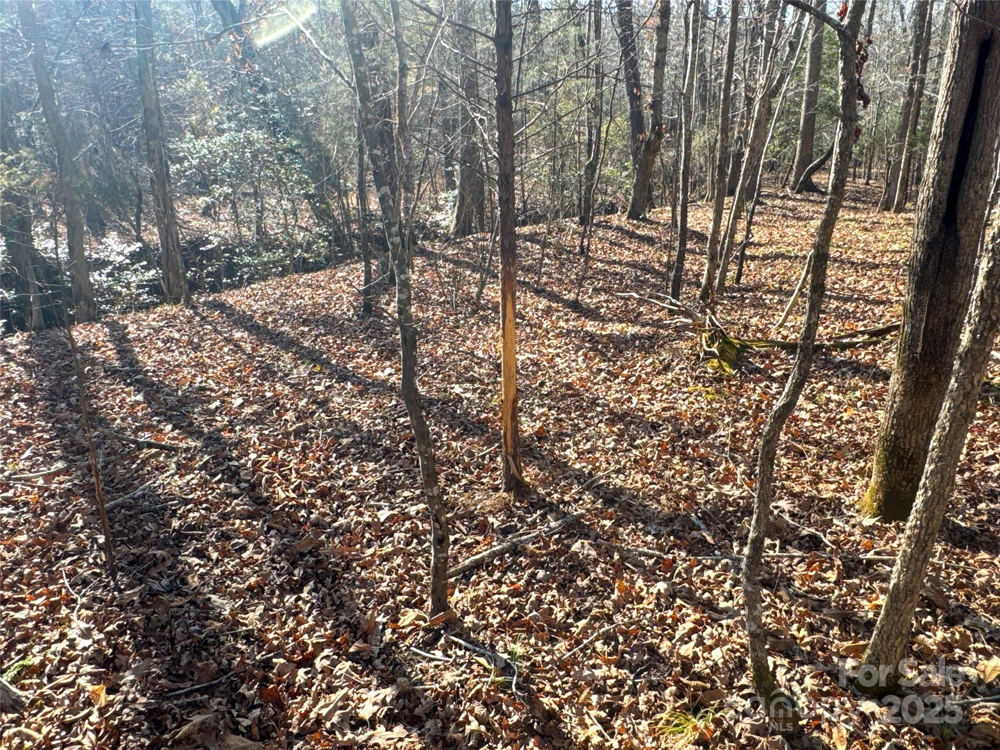 00 Ellis Ferry Road Property Photo 30