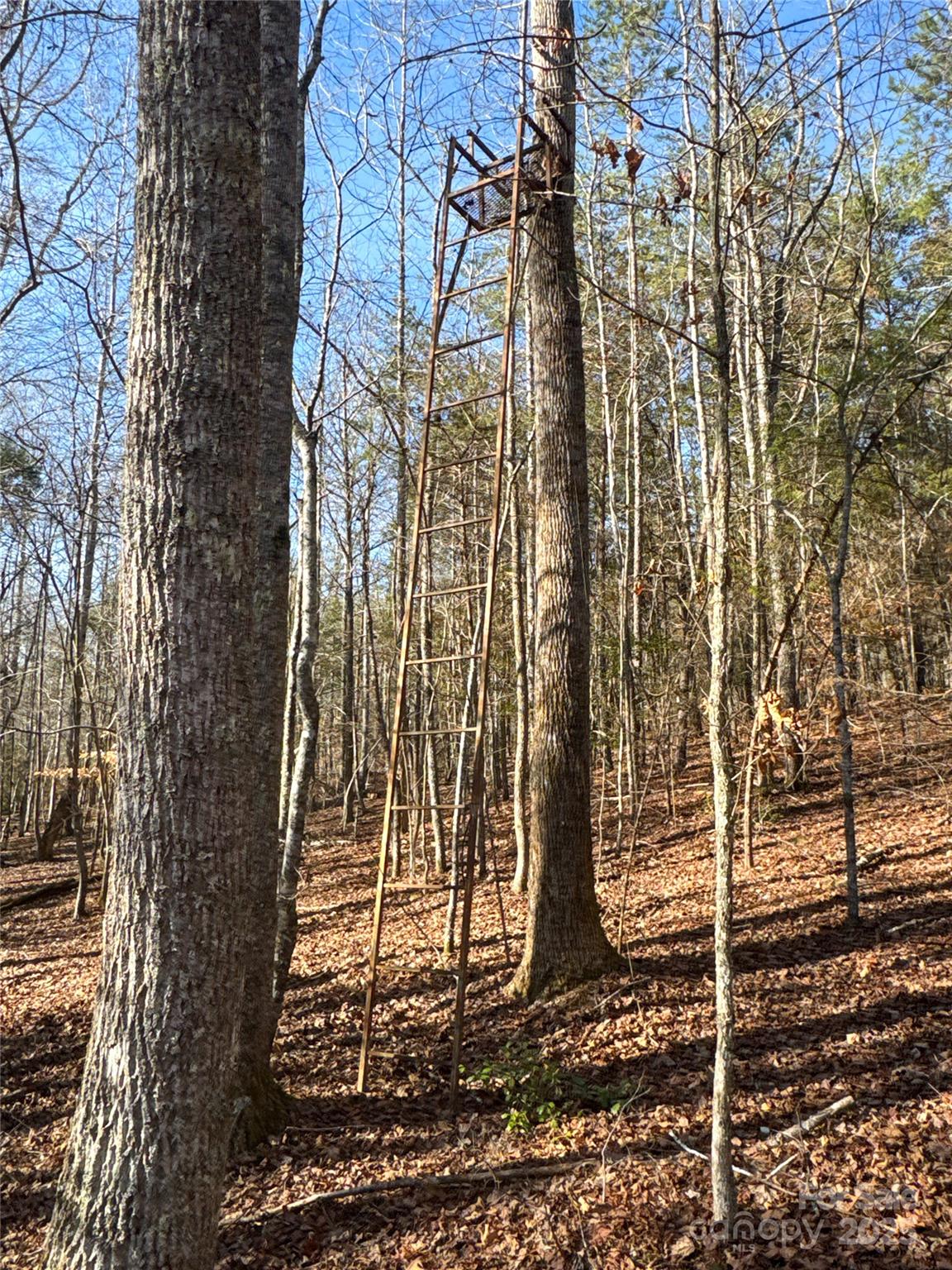 00 Ellis Ferry Road Property Photo 32