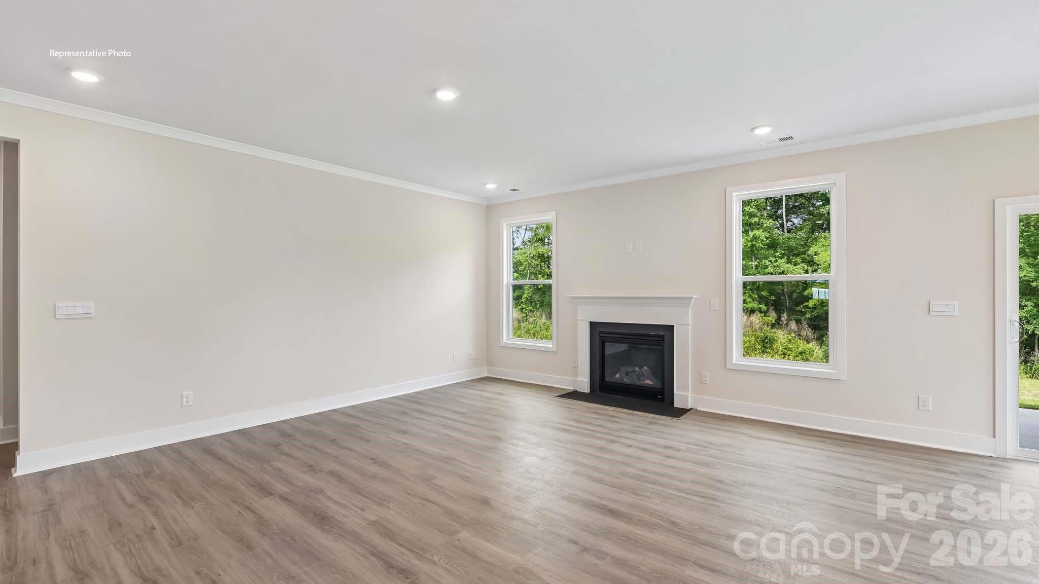 1003 Tundra Swan Drive Property Photo 3