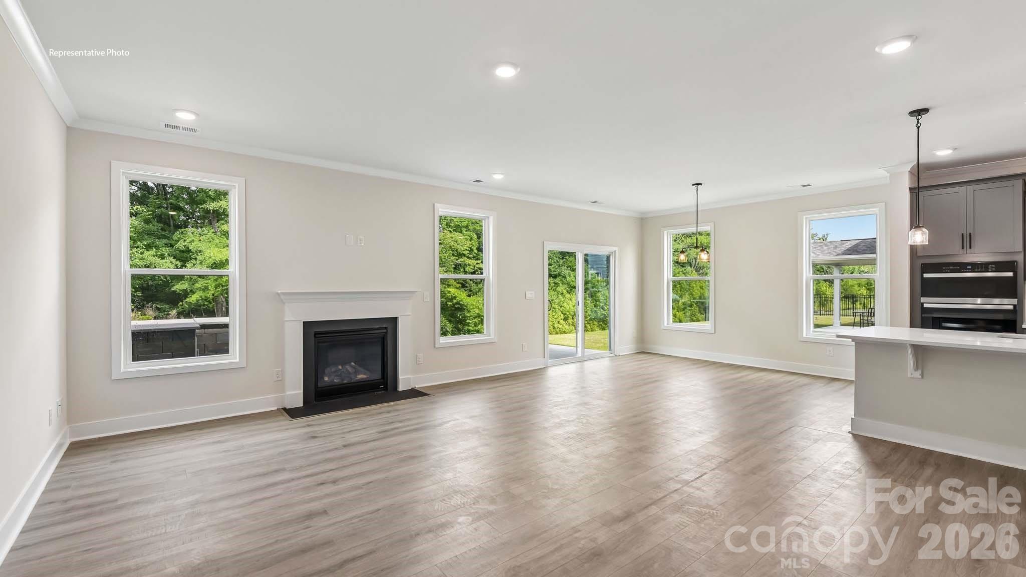 1003 Tundra Swan Drive Property Photo 4
