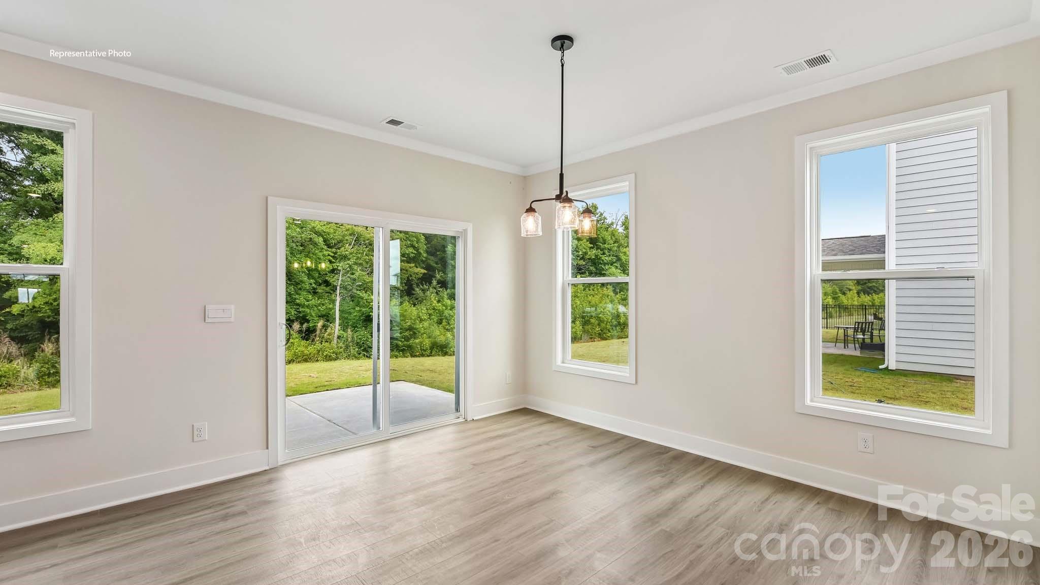 1003 Tundra Swan Drive Property Photo 9
