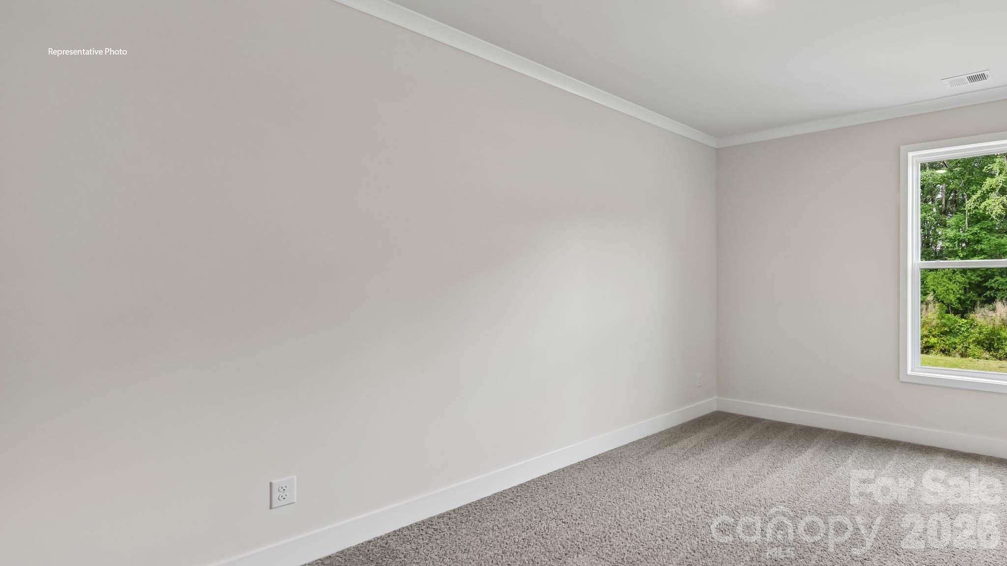 1003 Tundra Swan Drive Property Photo 15