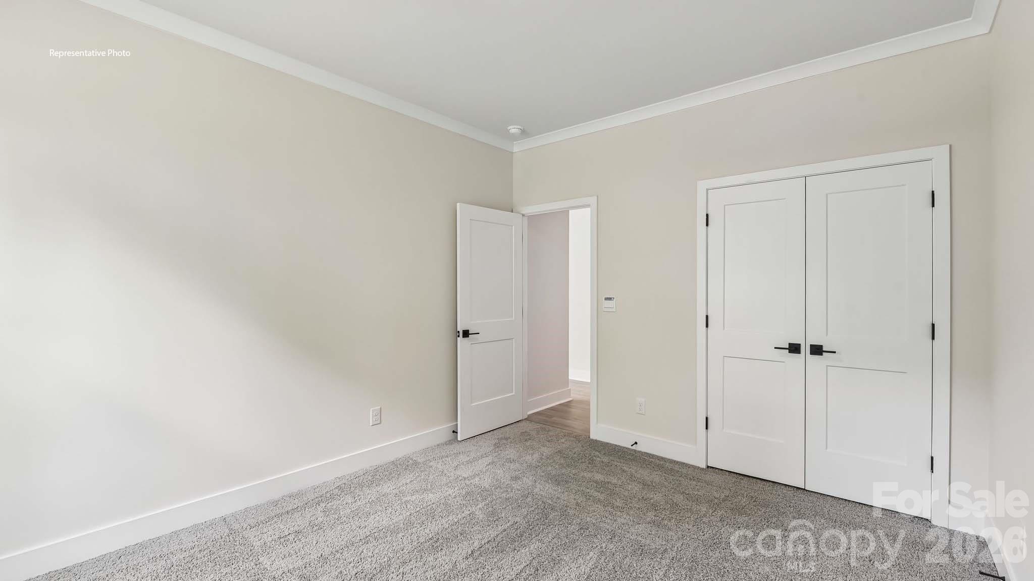 1003 Tundra Swan Drive Property Photo 16