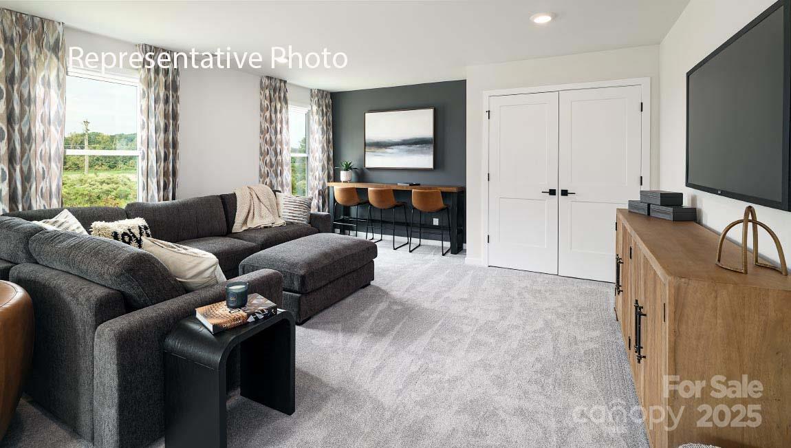 1003 Tundra Swan Drive Property Photo 20
