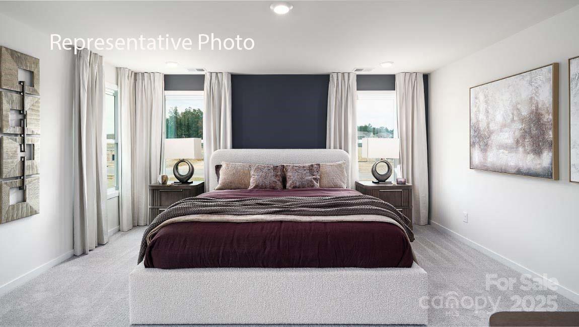 1003 Tundra Swan Drive Property Photo 22