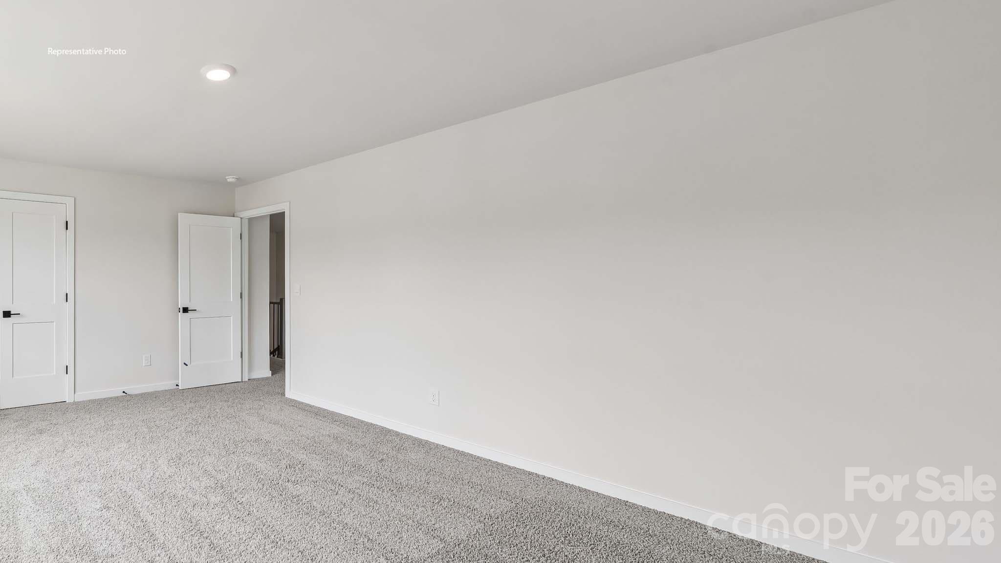 1003 Tundra Swan Drive Property Photo 22