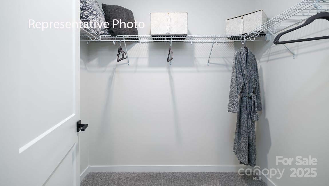 1003 Tundra Swan Drive Property Photo 27
