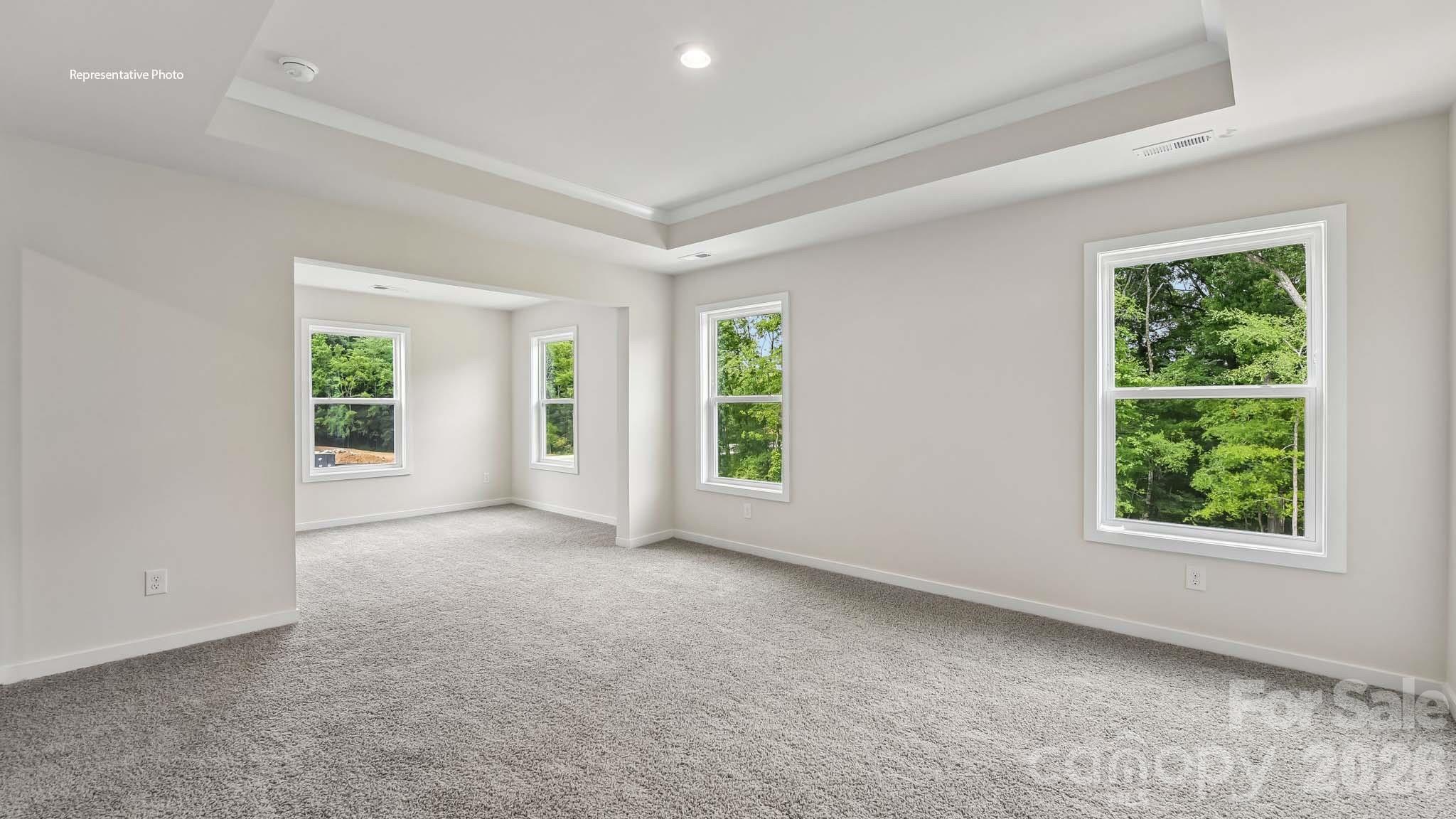 1003 Tundra Swan Drive Property Photo 27