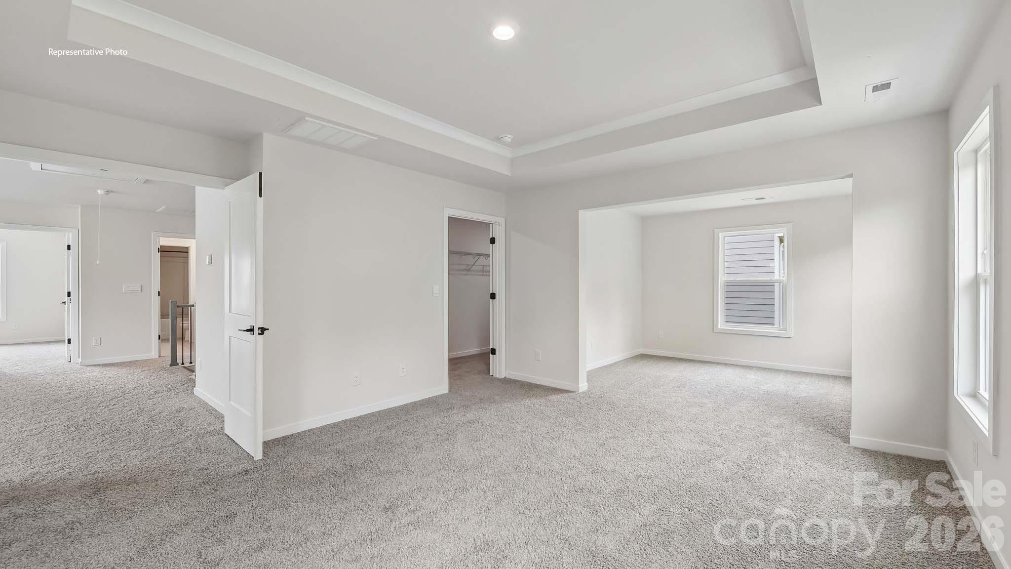 1003 Tundra Swan Drive Property Photo 28