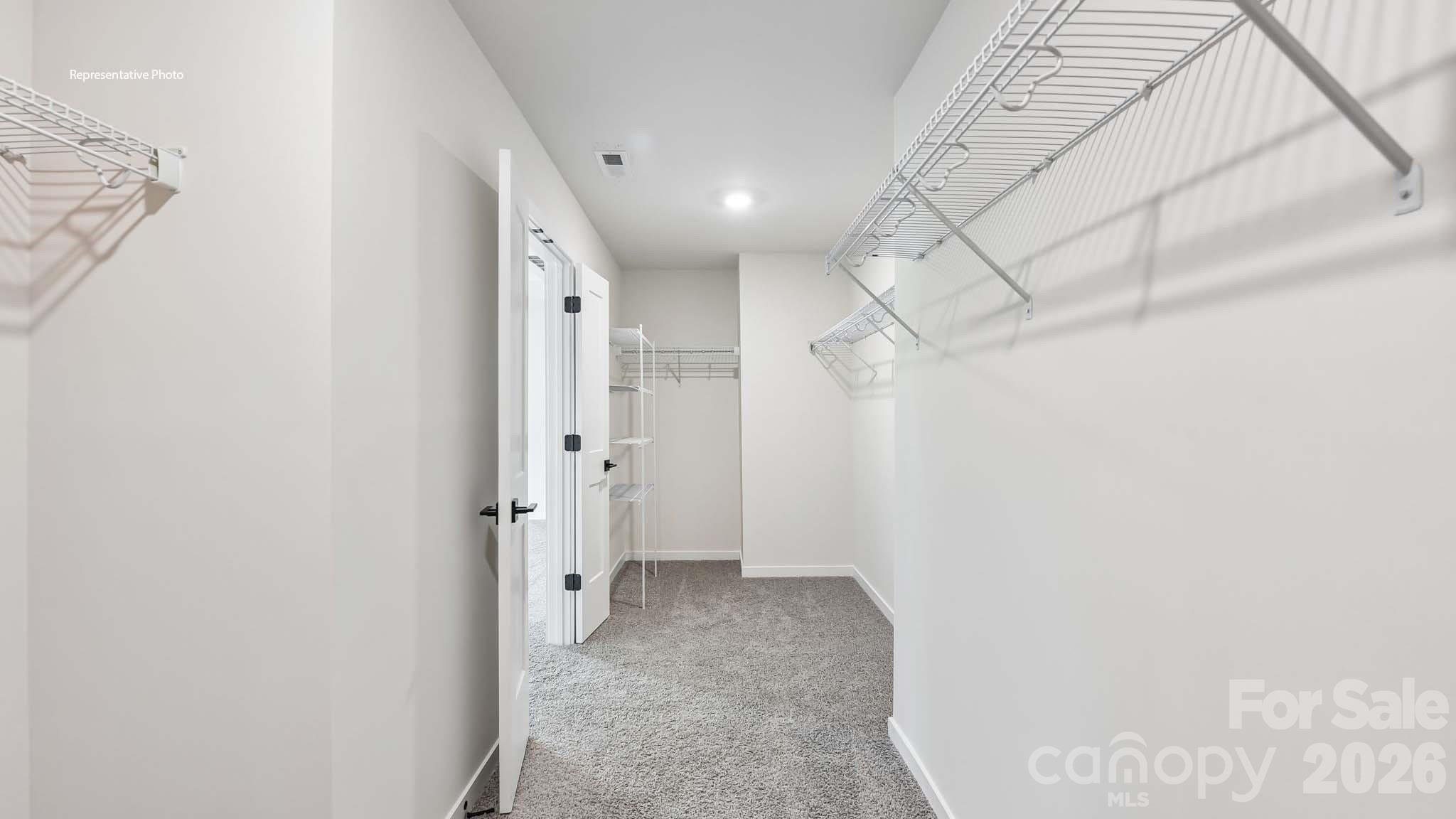 1003 Tundra Swan Drive Property Photo 30
