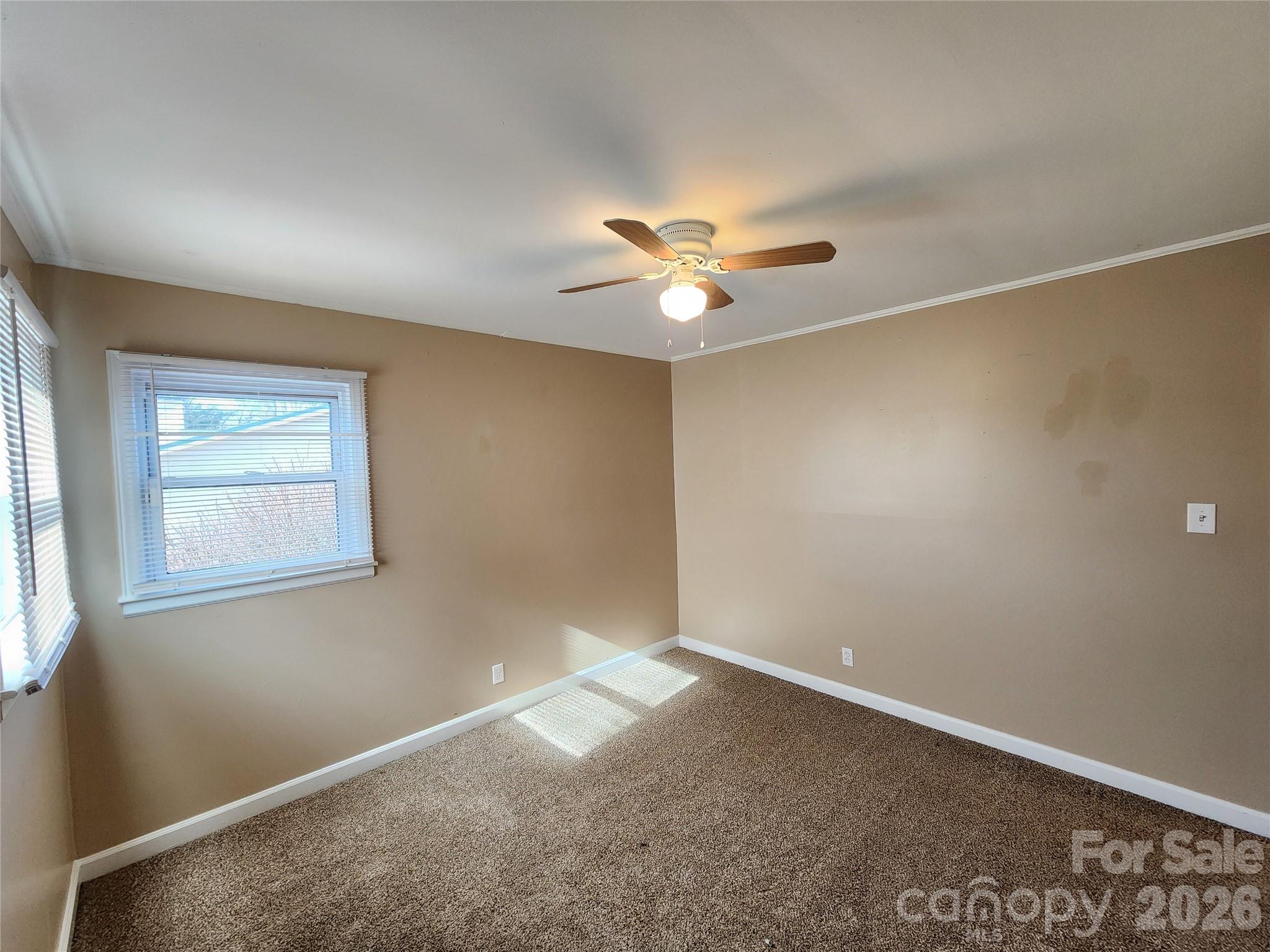 31 Stanley Street Property Photo 15