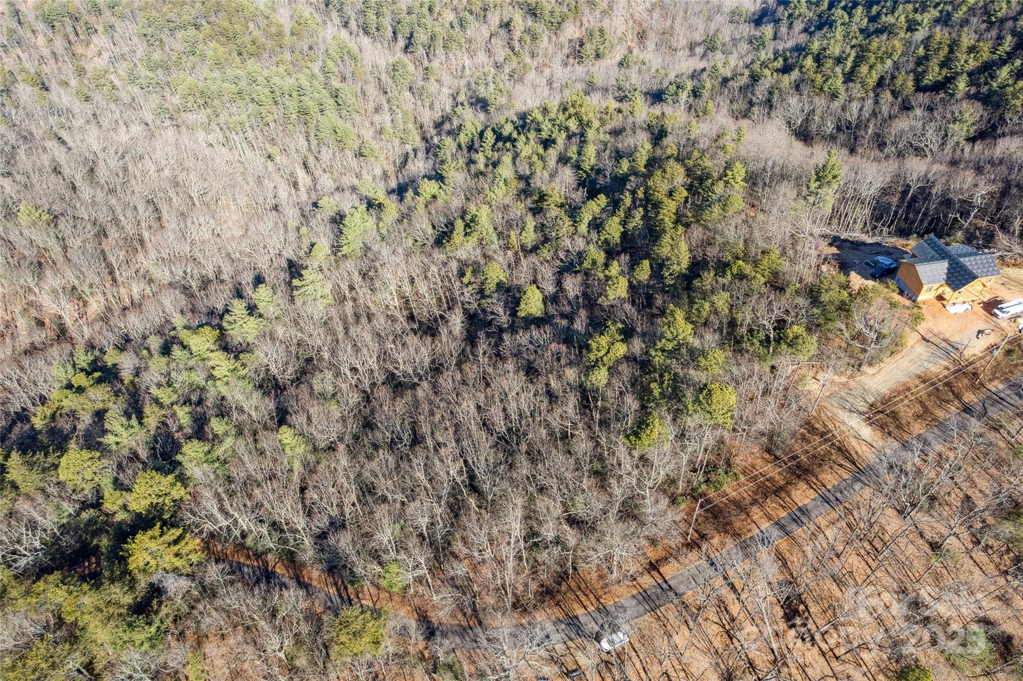 5241 Pine Ridge Drive Property Photo 1