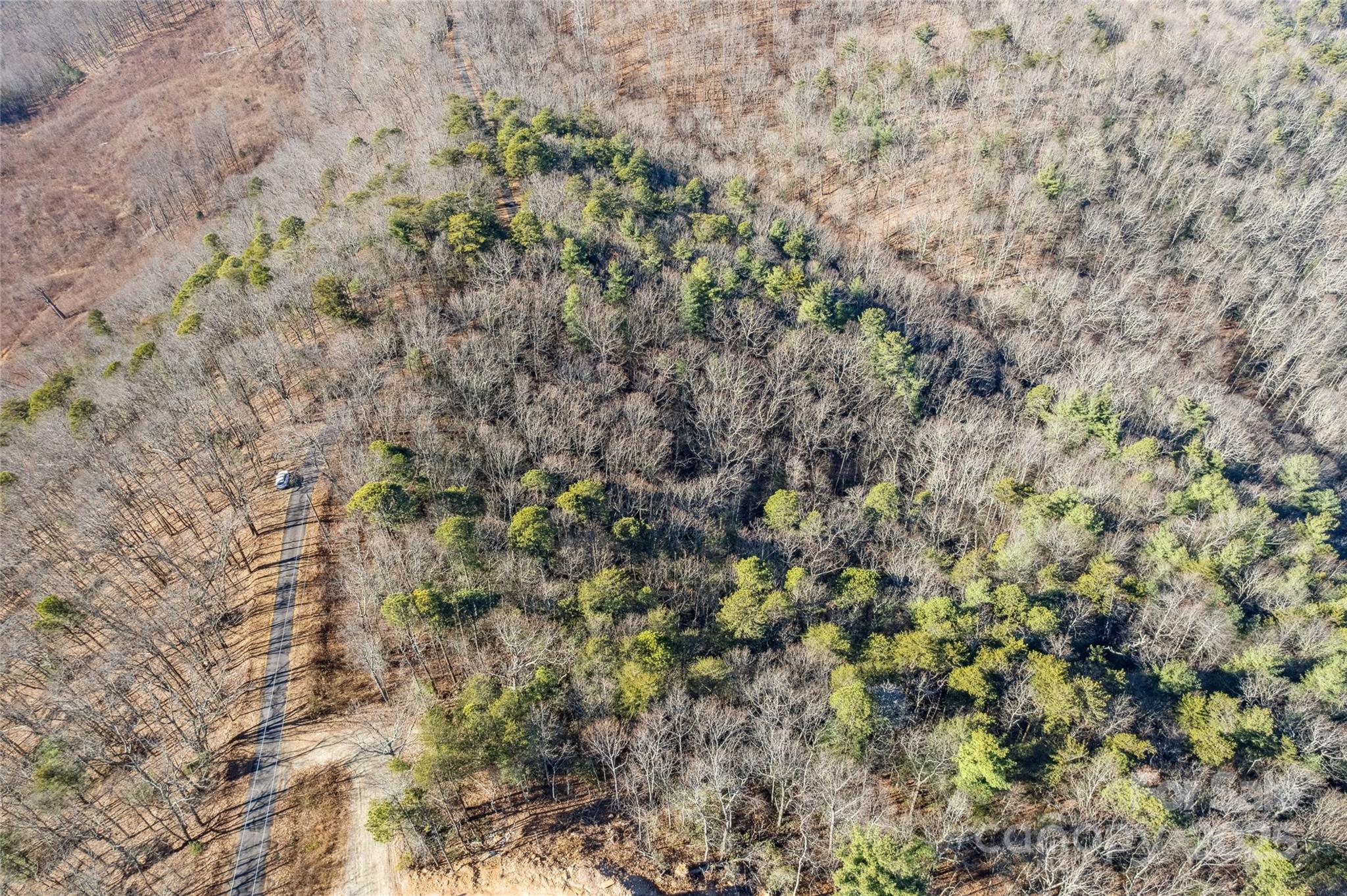 5241 Pine Ridge Drive Property Photo 4