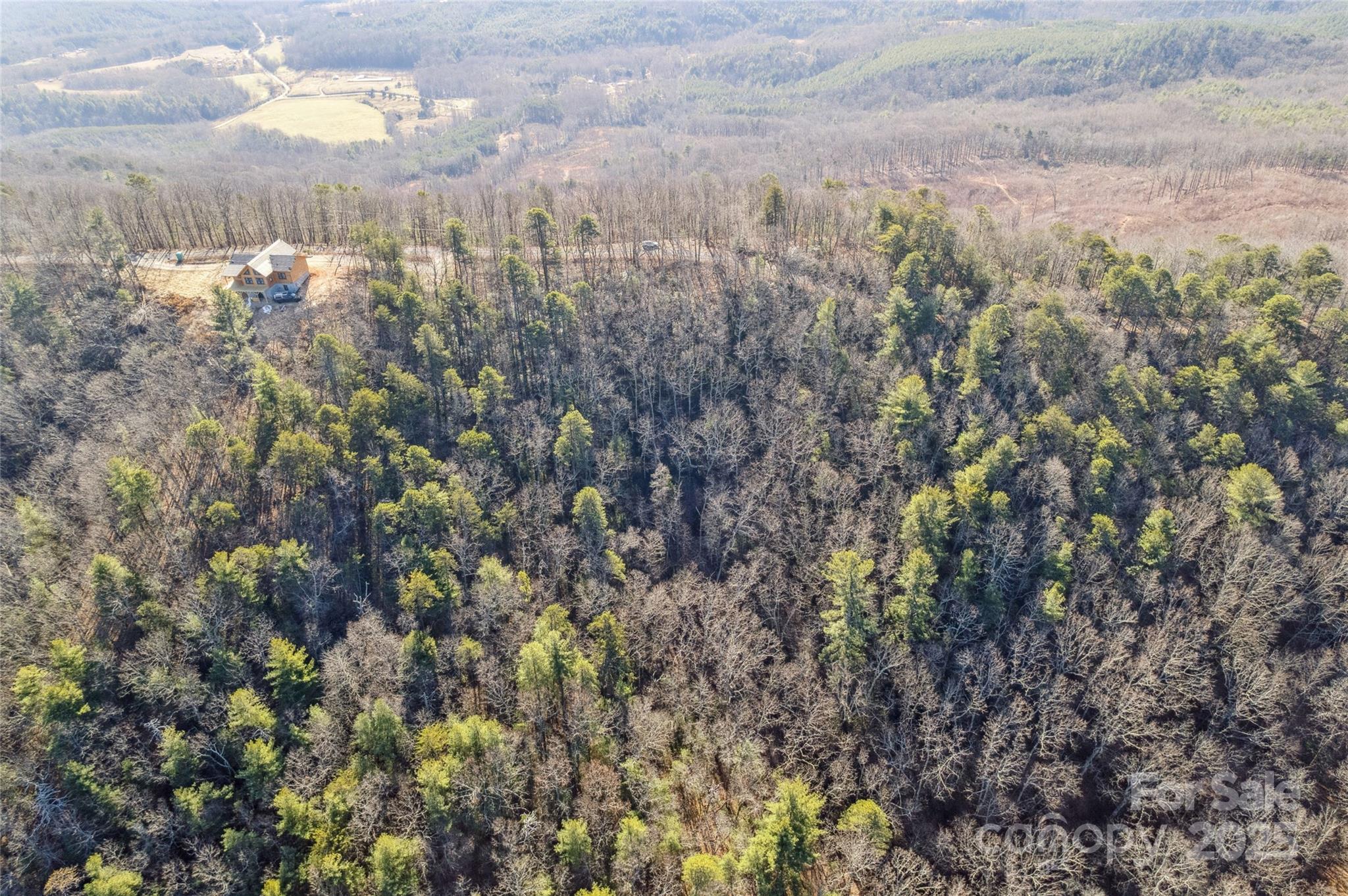 5241 Pine Ridge Drive Property Photo 8