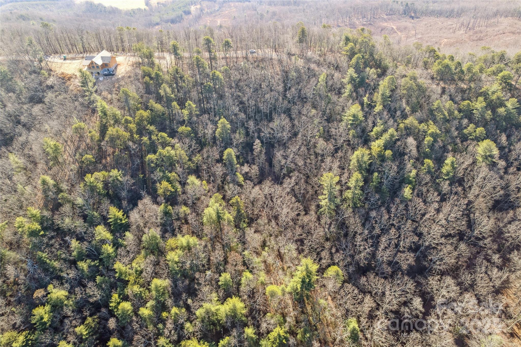 5241 Pine Ridge Drive Property Photo 9
