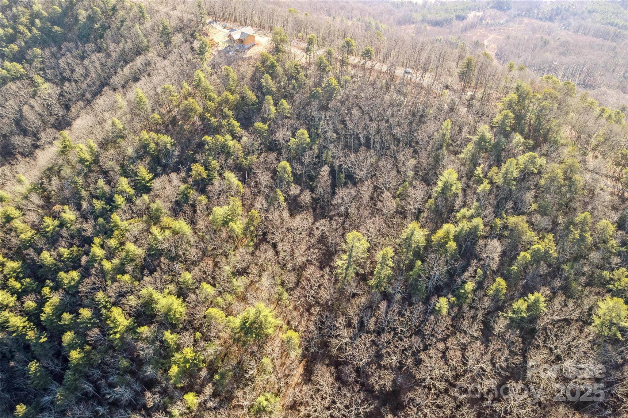 5241 Pine Ridge Drive Property Photo 10