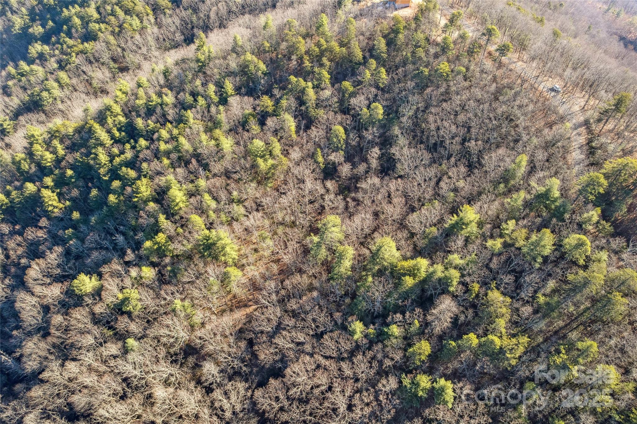 5241 Pine Ridge Drive Property Photo 11