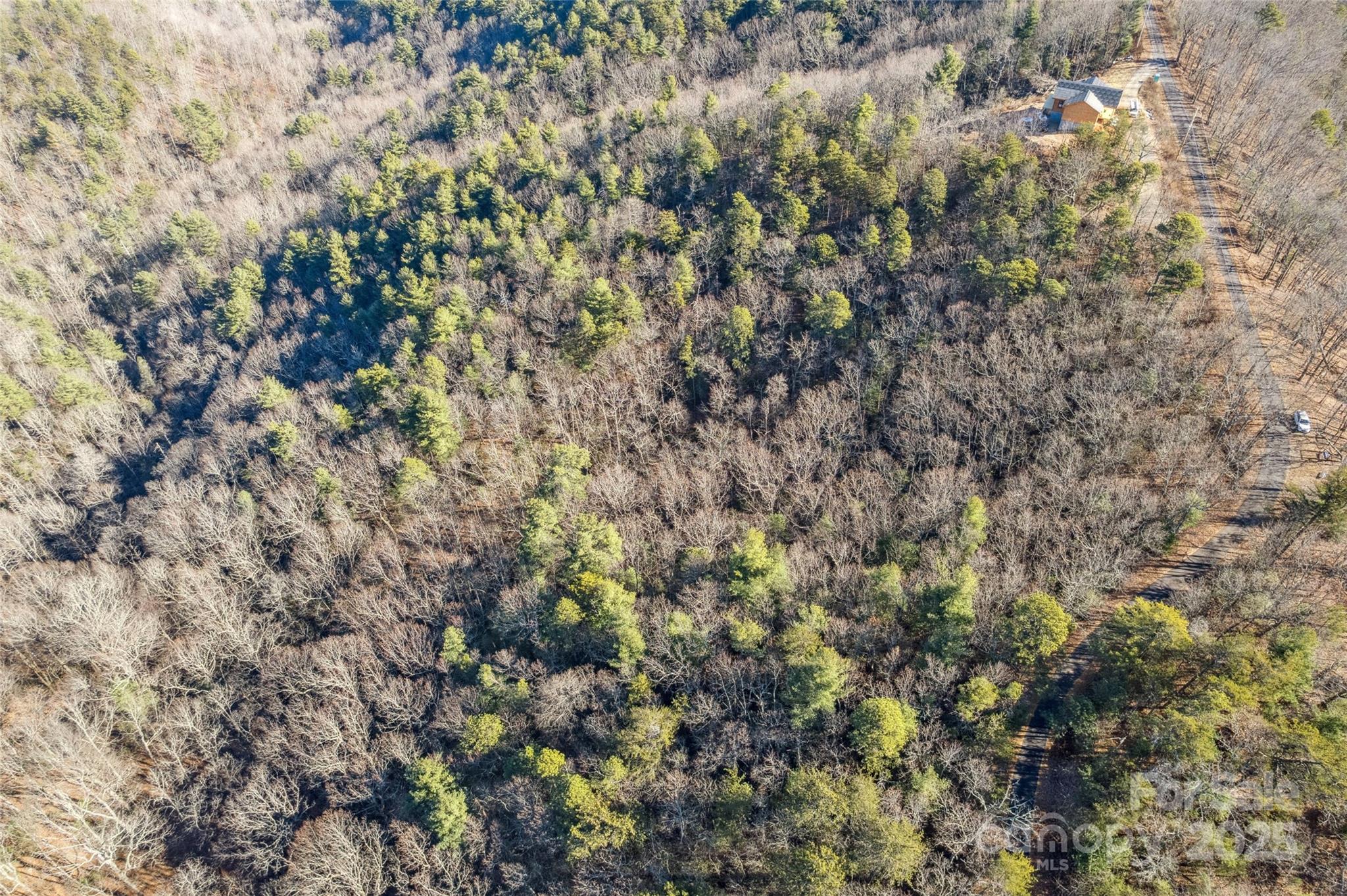5241 Pine Ridge Drive Property Photo 12