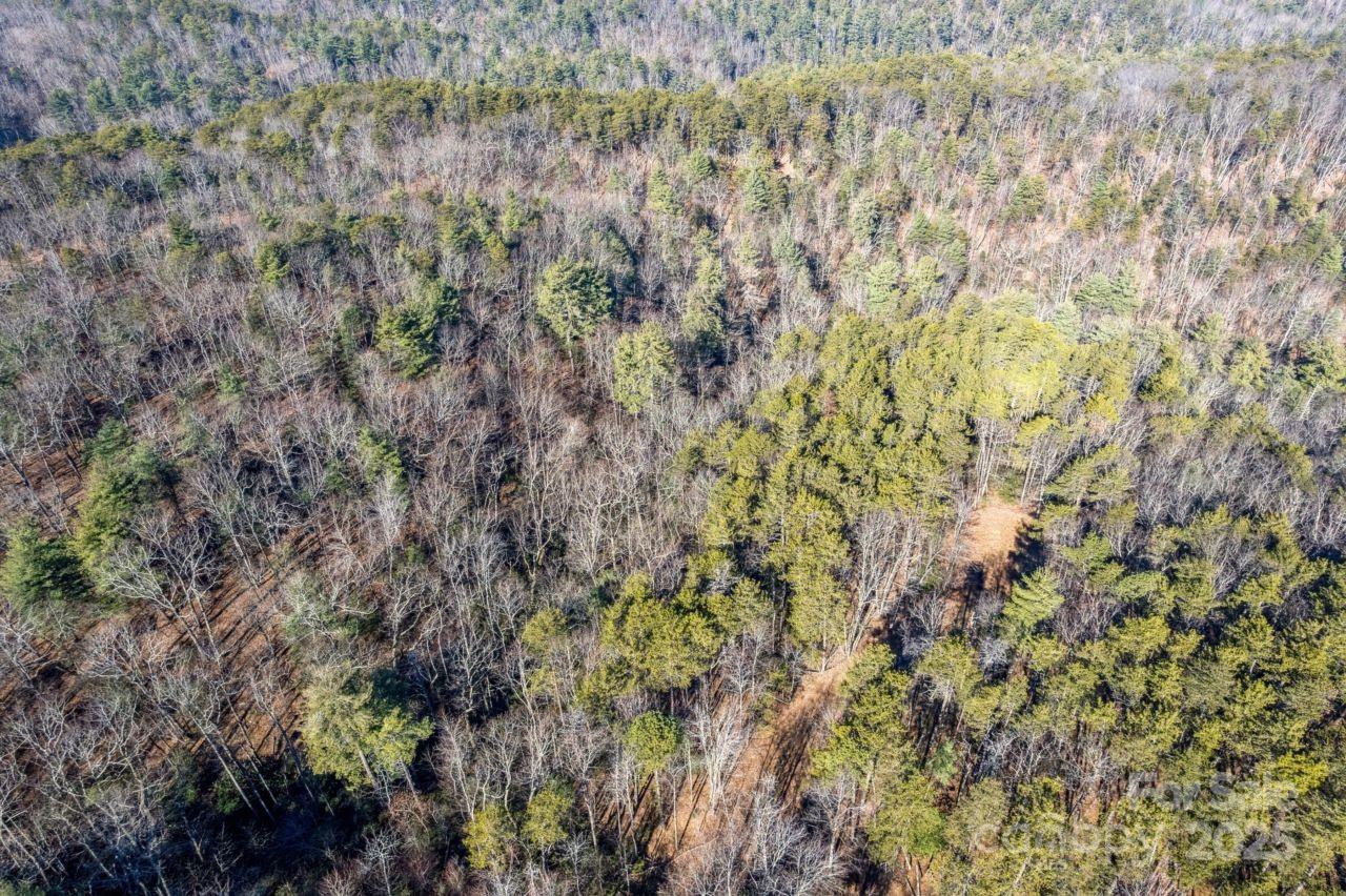 0 Sassafras Lane Property Photo 2
