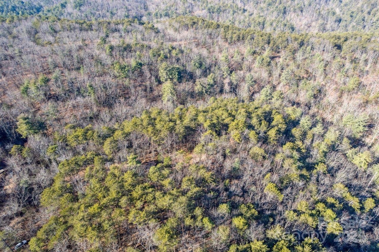 0 Sassafras Lane Property Photo 4