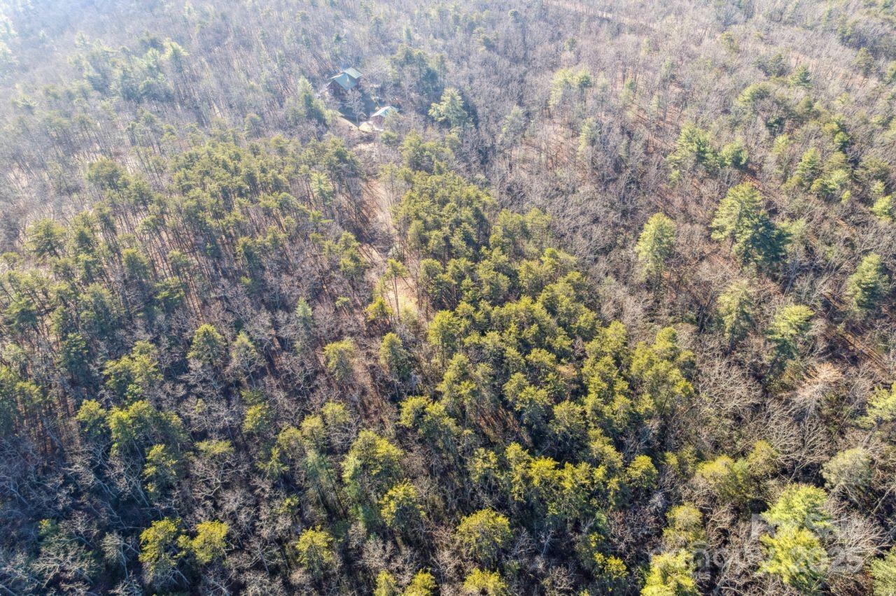 0 Sassafras Lane Property Photo 6