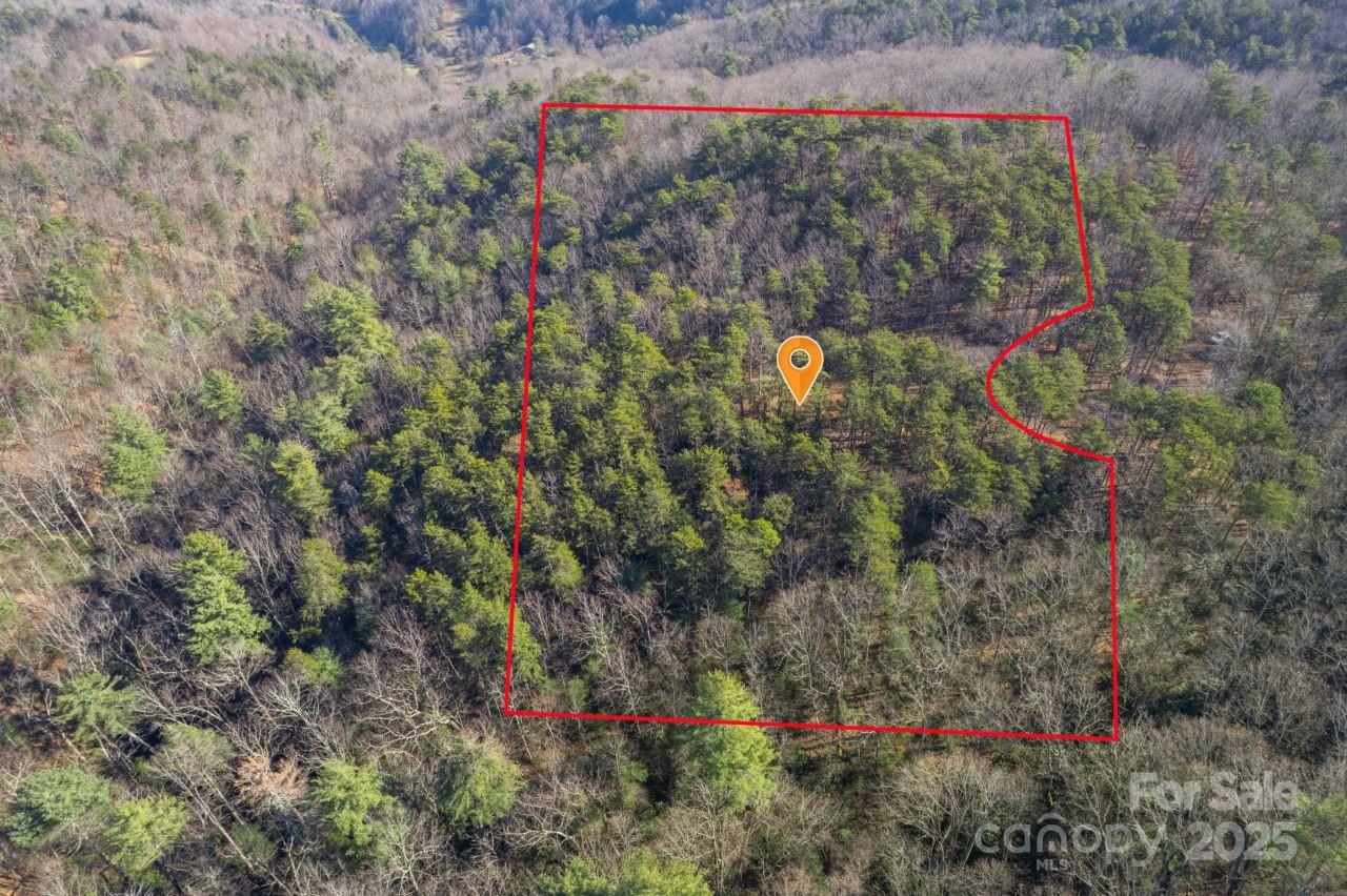 0 Sassafras Lane Property Photo 11