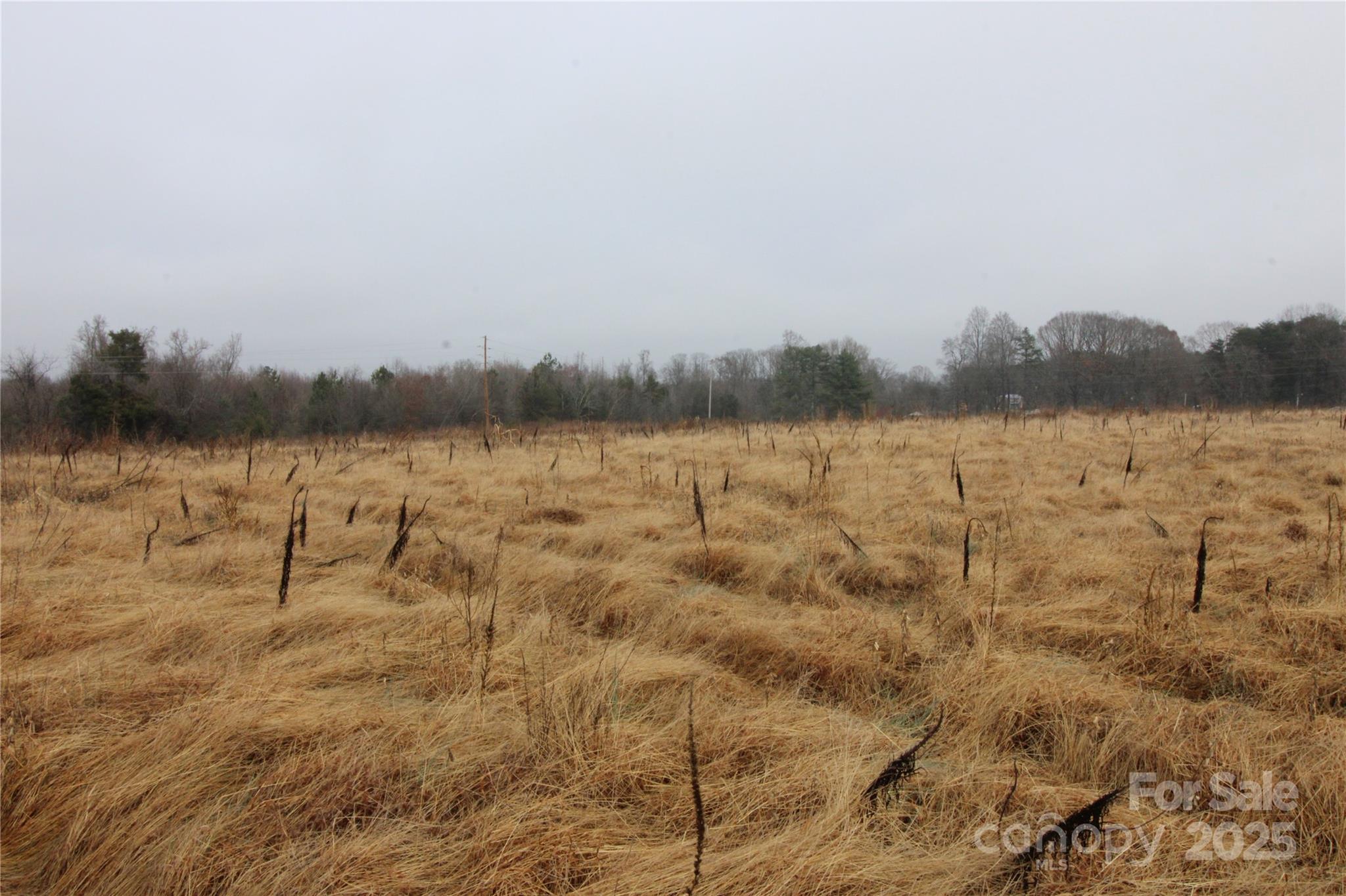 3.02+/-ac Bess Road Lot F Property Photo 2