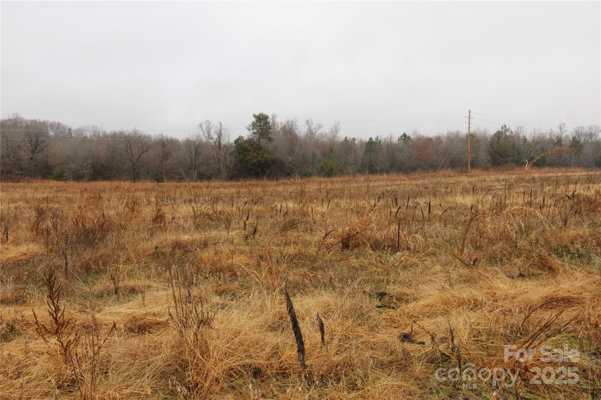 3.02+/-ac Bess Road Lot F Property Photo 3
