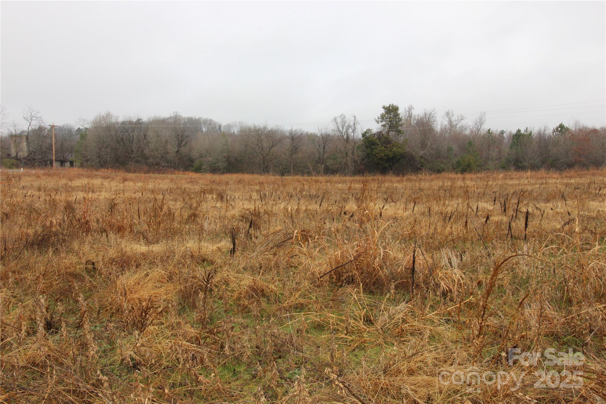 3.02+/-ac Bess Road Lot F Property Photo 4