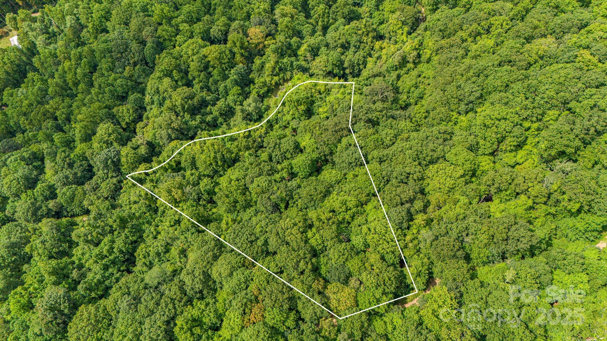 Lot 21 Cat Pen Branch Road Property Photo 6