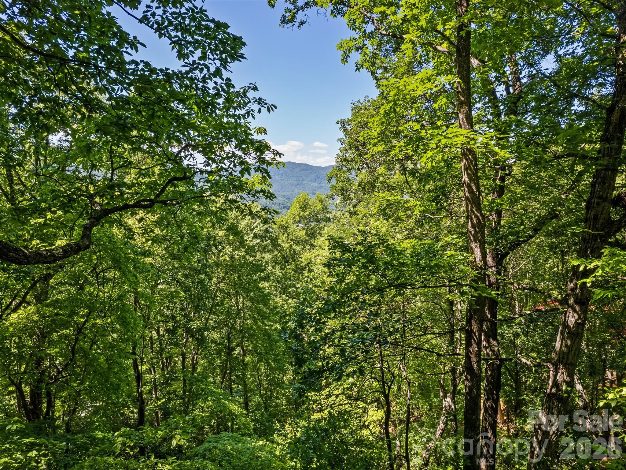 1392 Mount Chalet Road Property Photo 5