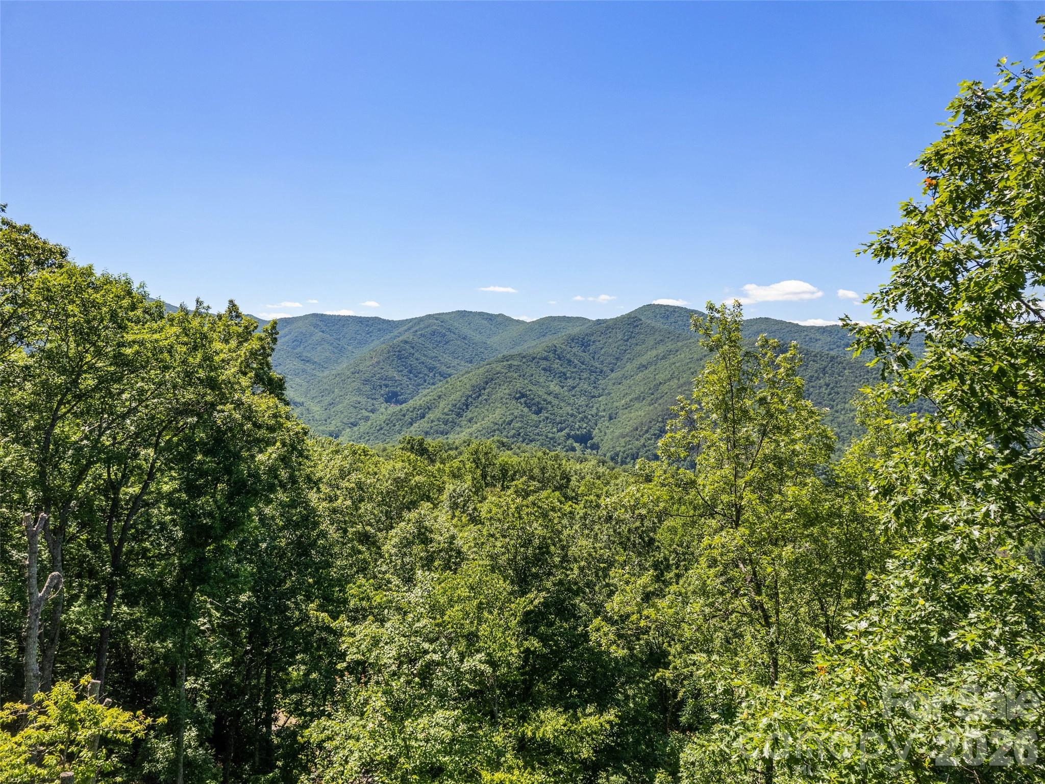 1392 Mount Chalet Road Property Photo 6