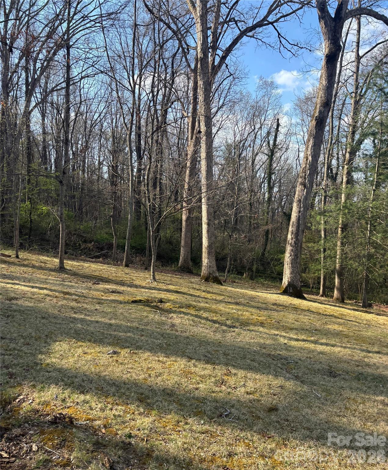 67 Shawnee Trail Property Photo 24