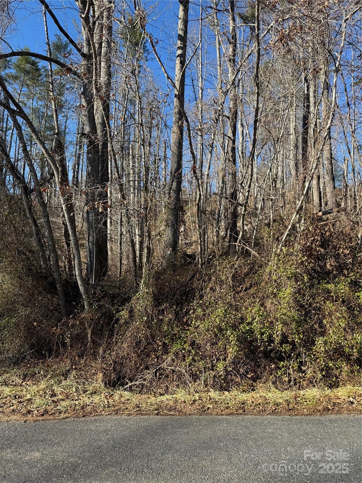 Tbd George Mckinney Circle Property Photo 1