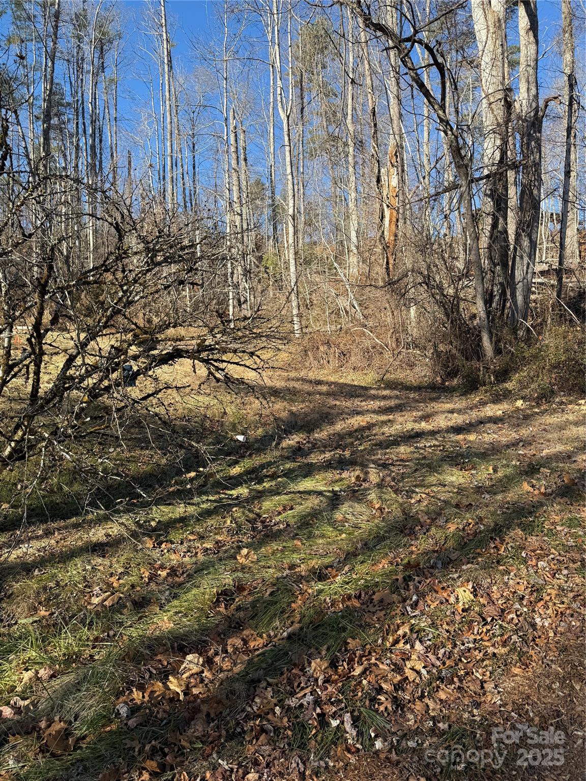 Tbd George Mckinney Circle Property Photo 3