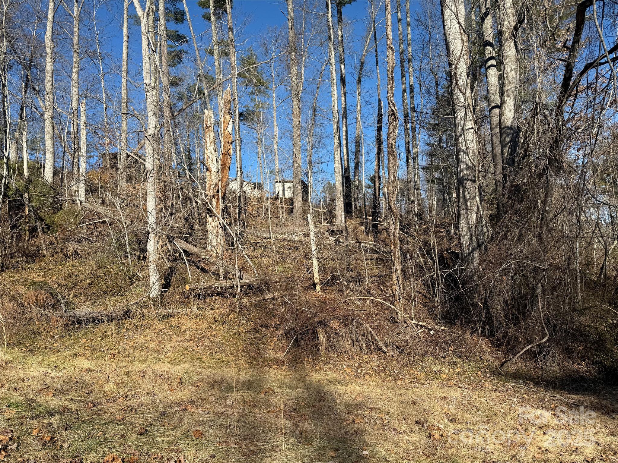 Tbd George Mckinney Circle Property Photo 4