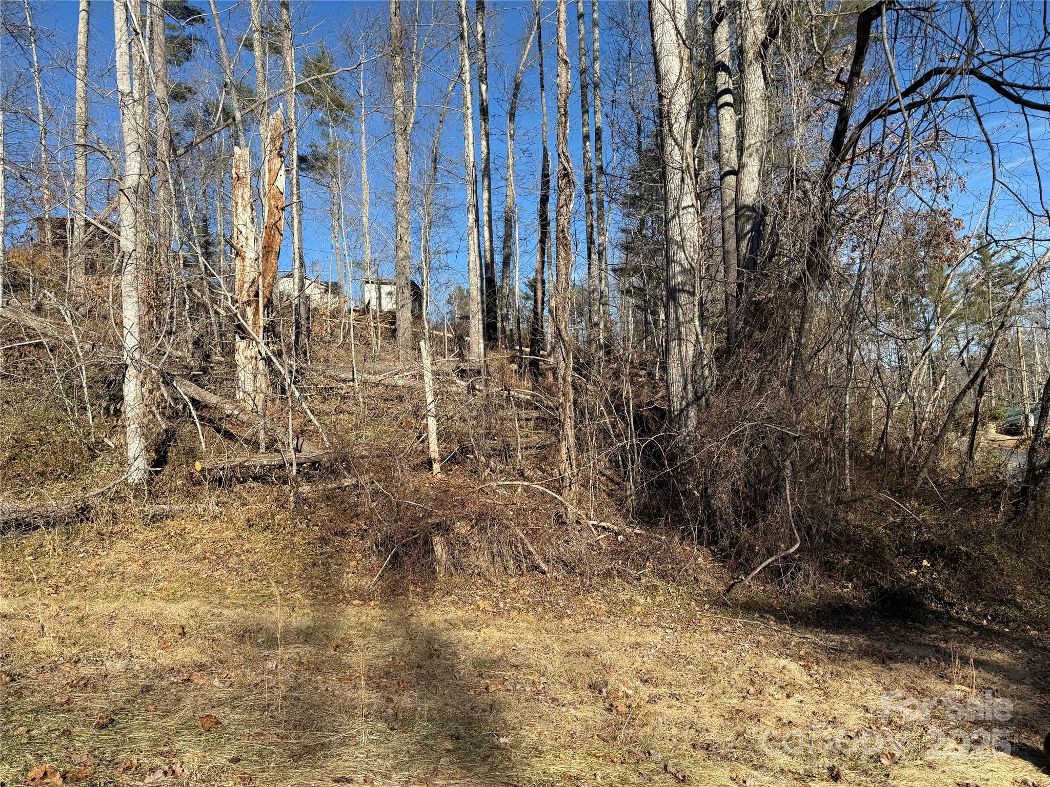 Tbd George Mckinney Circle Property Photo 5