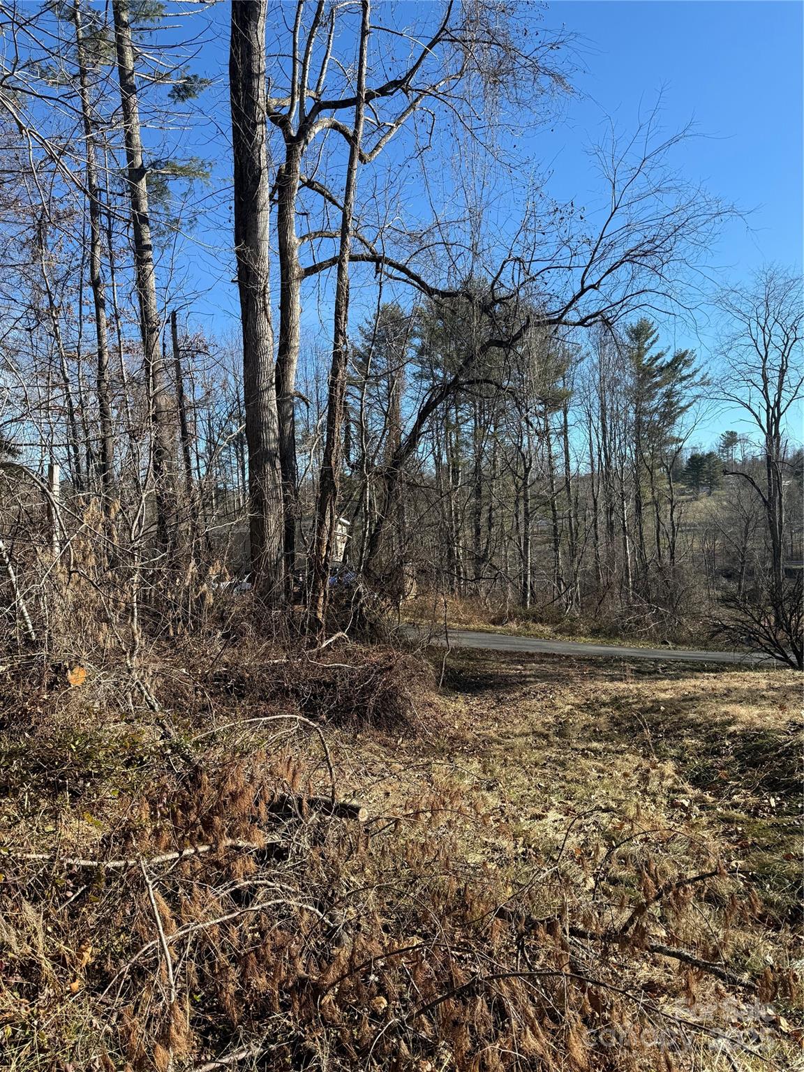 Tbd George Mckinney Circle Property Photo 8