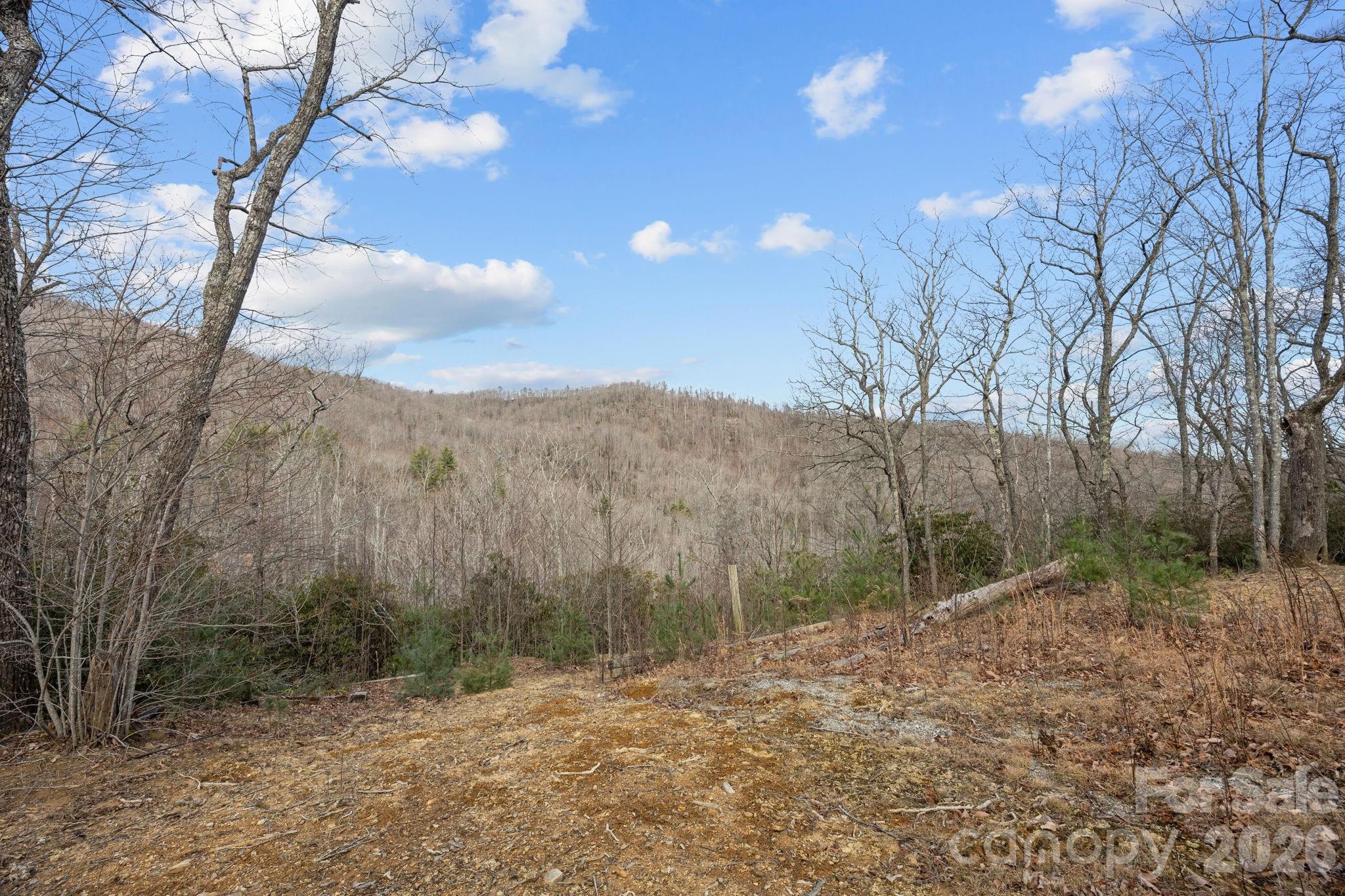 1443 Old Mill Road 8/9 Property Photo 4