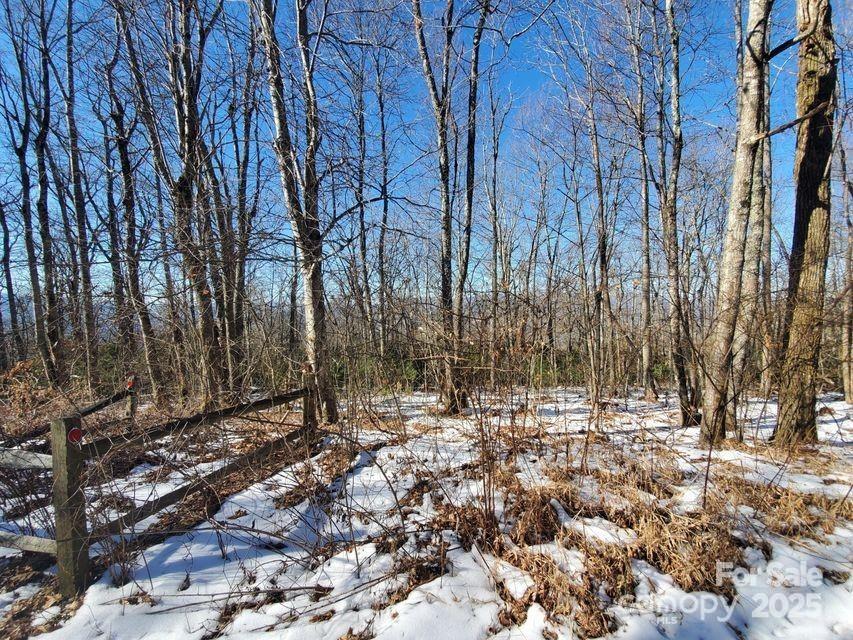 Tbd Henredon Road Property Photo 3