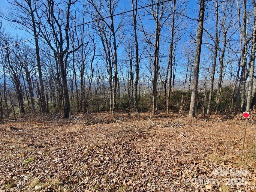 Tbd Henredon Road Property Photo 5
