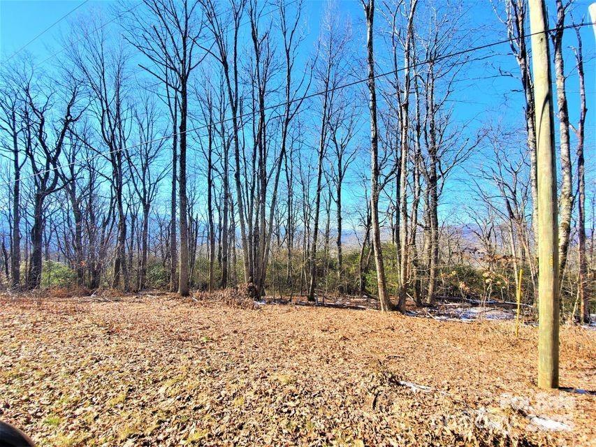 Tbd Henredon Road Property Photo 6