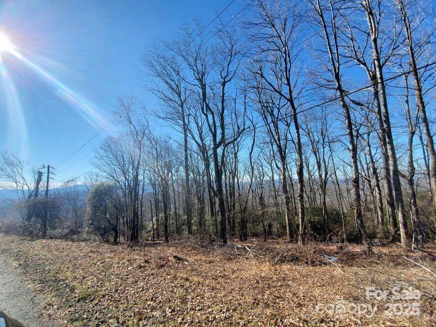 Tbd Henredon Road Property Photo 8