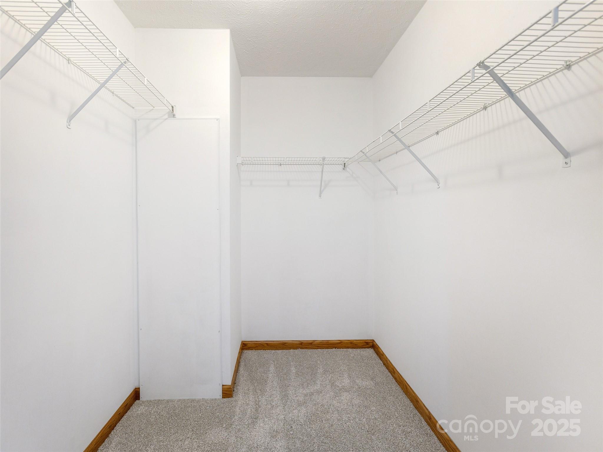 65 Philips Court Property Photo 11