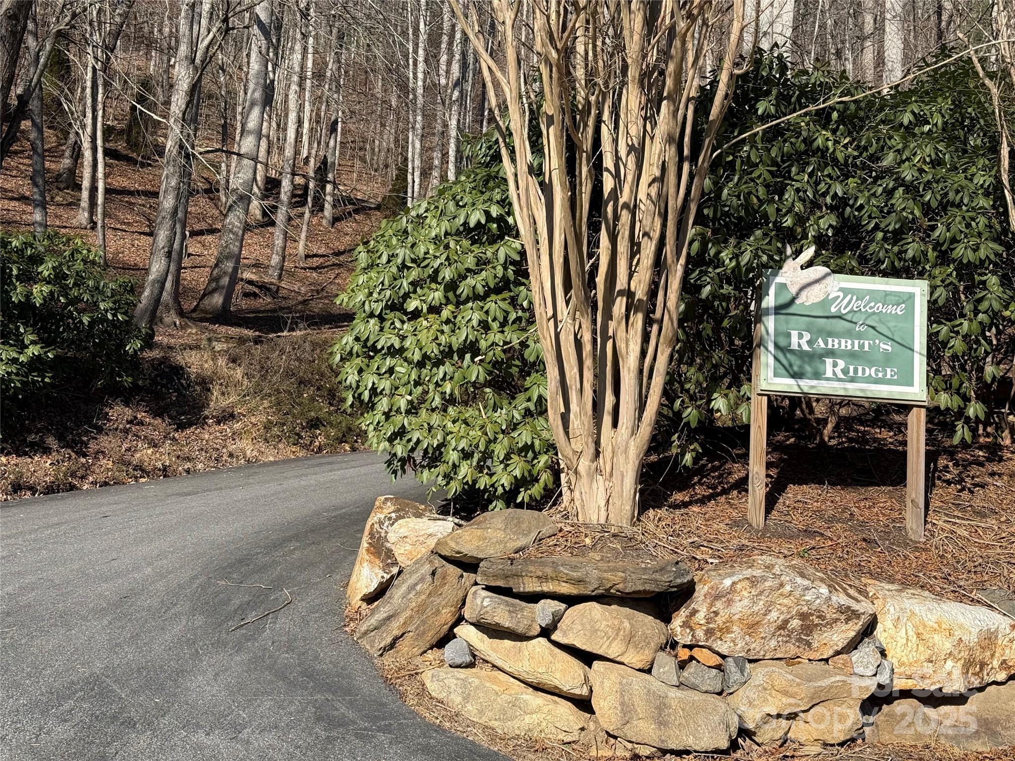 12,13,27 Brer Rabbit Trail 12,13,27 Property Photo 4