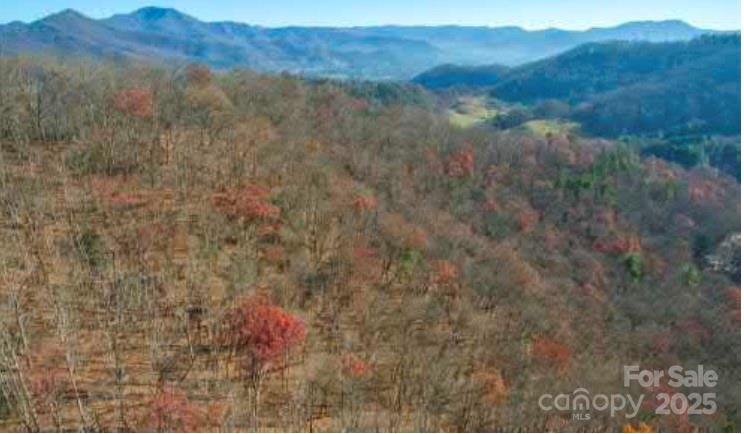 12,13,27 Brer Rabbit Trail 12,13,27 Property Photo 12