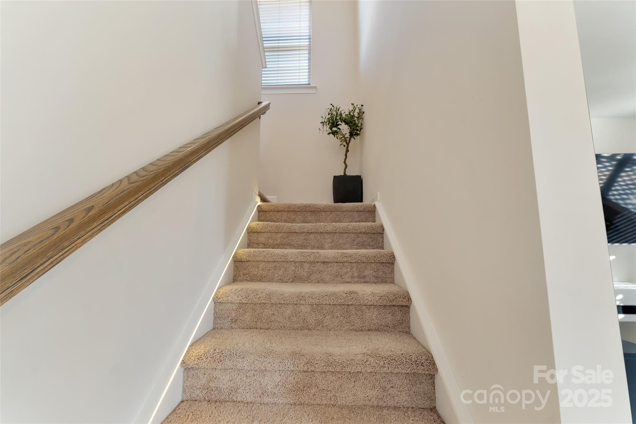 2144 Blue Sky Meadows Drive Property Photo 18